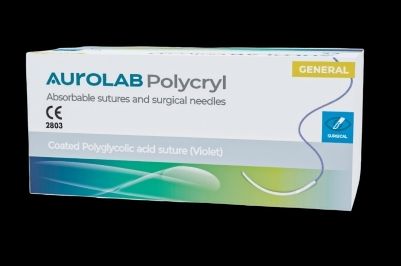 ABSORBABLE SURGICAL SUTURE